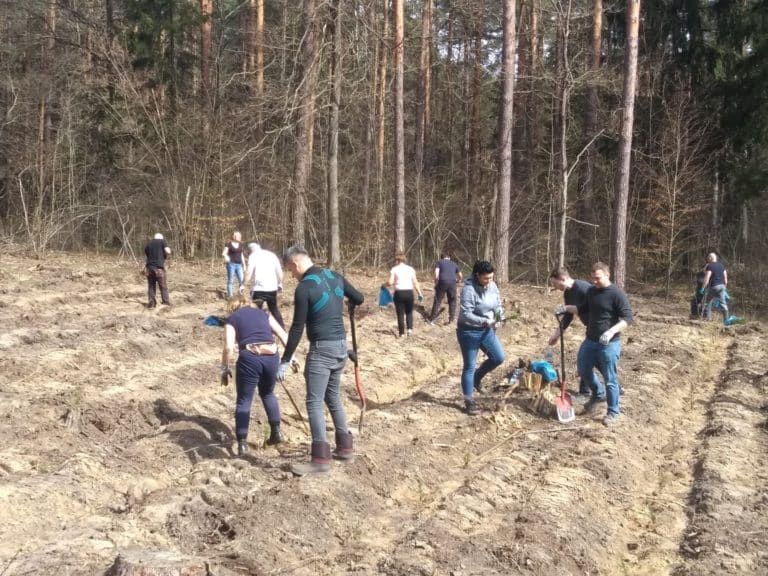 Rosti Poland plants over 10,000 trees to neutralize Carbon Footprint