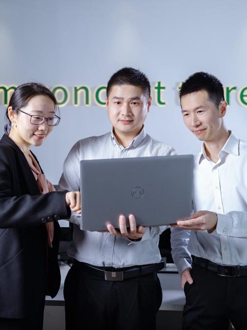 Engineers and product specialists working together